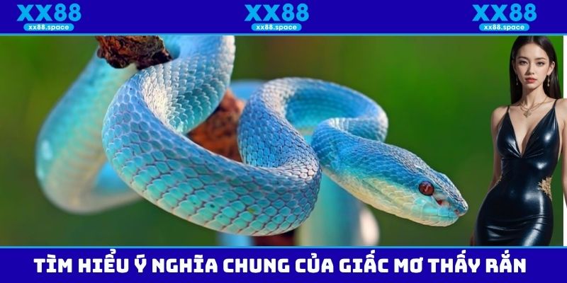 Tìm hiểu ý nghĩa chung của giấc mơ thấy rắn